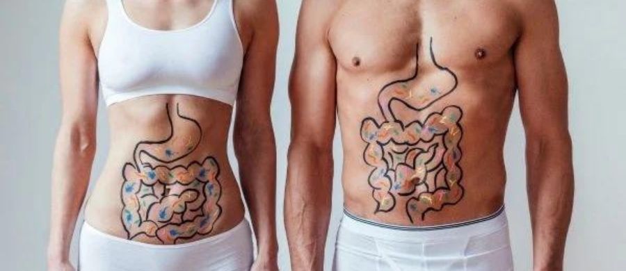 Erros que prejudicam o intestino Nutricionista Anny Bessa em Goiânia